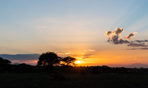 Silhouette trees on field against sky during sunset