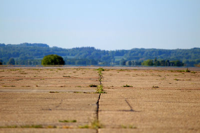 Scenic view of field against clear sky