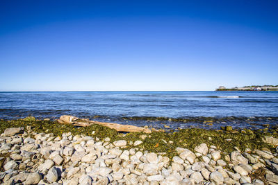 Scenic view of sea against clear blue sky