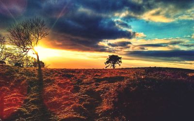 Scenic view of field against sky during sunset