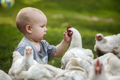 Cute baby boy looking at chickens while sitting on field in yard