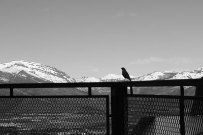 Fence on snowcapped mountain against sky
