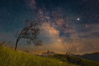 Scenic view of field against sky at night