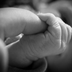 Close-up of hand holding baby