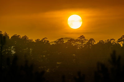 Silhouette trees against sky during sunset