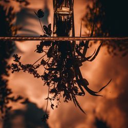 Close-up of silhouette tree against sky at sunset
