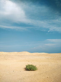 Scenic view of desert against sky