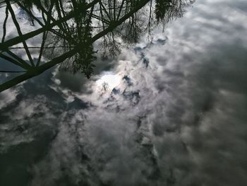 Low angle view of horse against sky