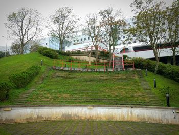 Trees on grassy field