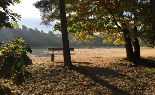 Scenic view of lake during autumn