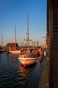 Sailboats moored at harbor against clear sky