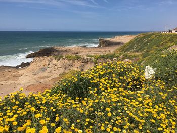 Scenic view of sea against sky