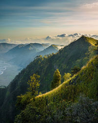 Scenic view of landscape against sky during sunset