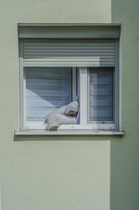 View of window on wall of building