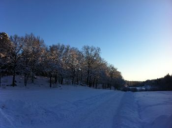 Trees on snow covered field against clear sky