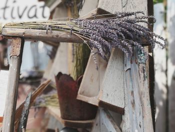 Close-up of rusty metal tools and lavender