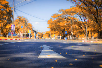 Surface level of road amidst autumn trees in city