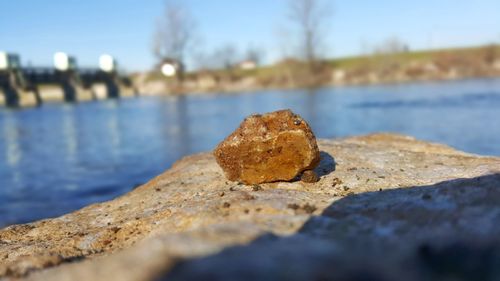 Close-up of rock on beach