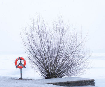 Bare tree on snow covered field against sky