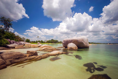 Surface level of rocks on shore against sky