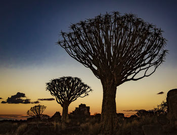 Silhouette tree on field against sky at sunset