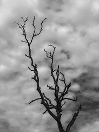 Low angle view of bare tree against cloudy sky