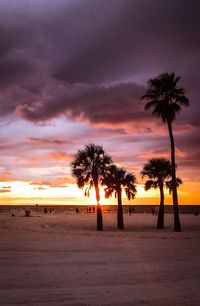 Silhouette palm trees on beach against sky at sunset