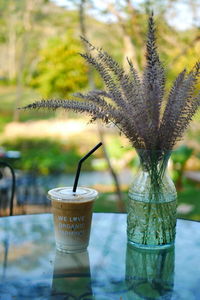 Close-up of drink on table