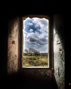 Trees seen through window of old building