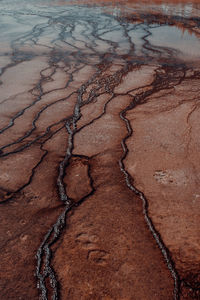 High angle view of wet sand