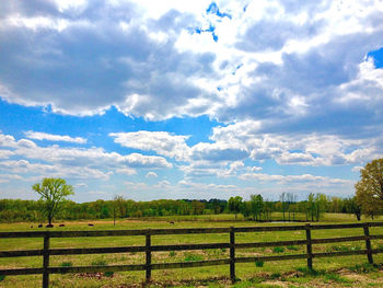 Scenic view of field against sky