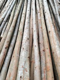 Full frame shot of bamboo stack