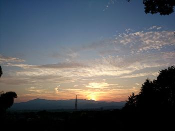 Silhouette of trees at sunset