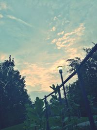 Low angle view of trees against sky