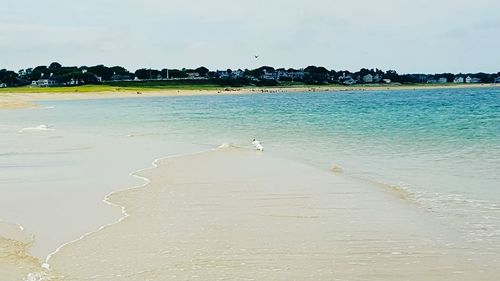Scenic view of calm sea