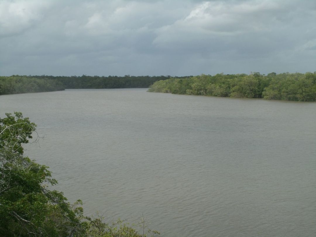 sky, water, tranquil scene, tranquility, tree, scenics, cloud - sky, beauty in nature, nature, cloudy, cloud, lake, idyllic, waterfront, growth, non-urban scene, rippled, river, day, outdoors