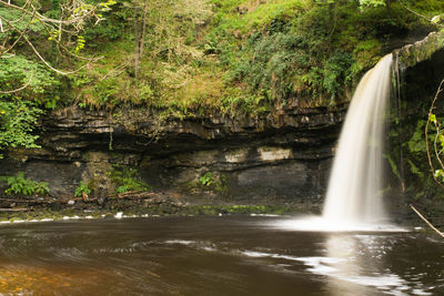 River flowing through forest