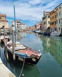 Boats moored at harbor