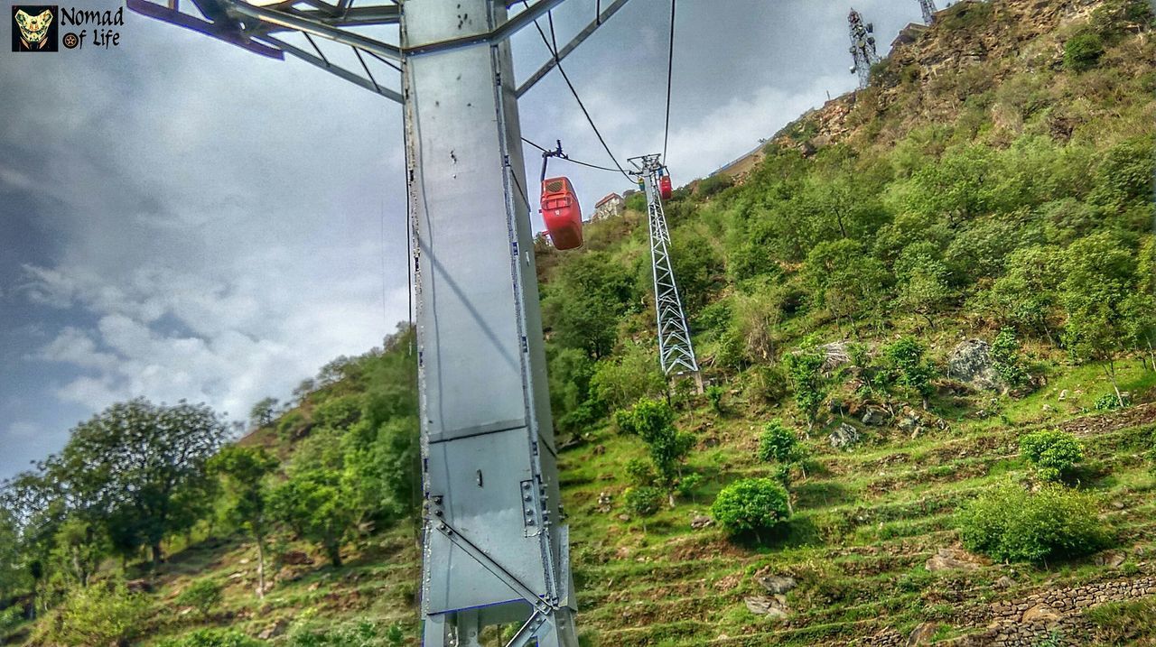 OVERHEAD CABLE CAR AGAINST TREES