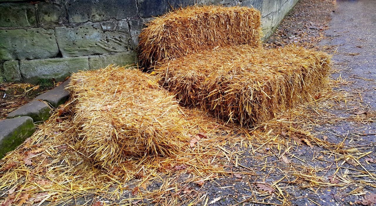 Fresh hay bales