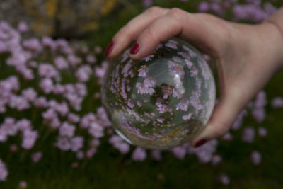 Woman holding crystal ball with reflection of pink flowers