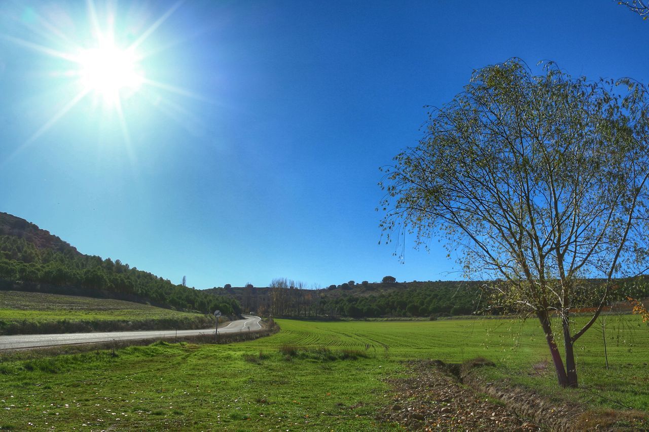 sun, sunlight, sunbeam, grass, lens flare, tranquility, blue, clear sky, tranquil scene, sunny, beauty in nature, scenics, landscape, nature, field, tree, growth, bright, sky, grassy