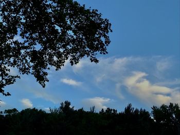 Low angle view of silhouette trees against blue sky