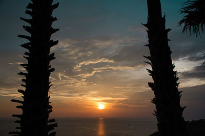 Silhouette tree by sea against sky during sunset