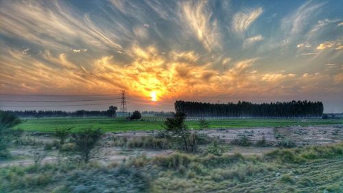 Scenic view of farm against sky