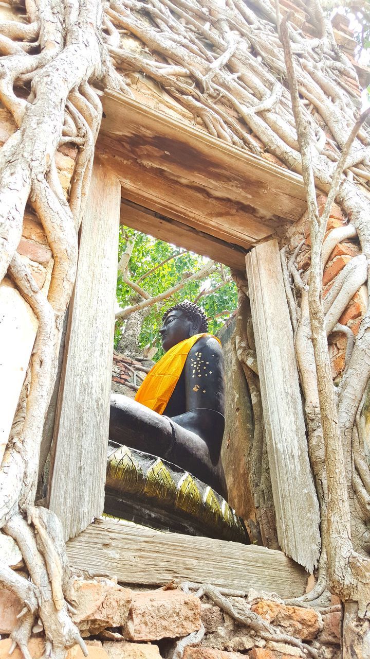 LOW ANGLE VIEW OF TREES SITTING ON WOODEN WALL