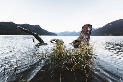 Scenic view of sea against clear sky