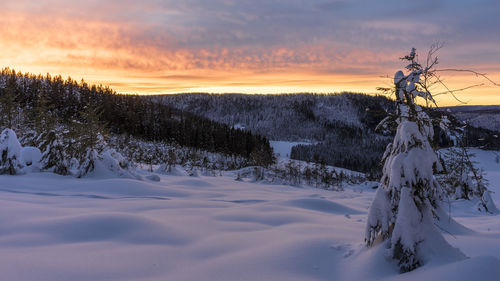 Scenic view of snow field against sky during sunset