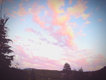 Low angle view of silhouette trees against sky during sunset