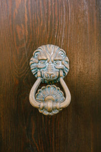 Close-up of cat on wooden door